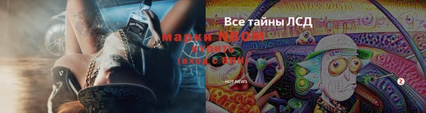 ешки Богданович