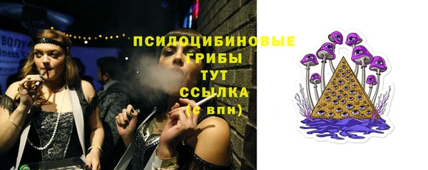 прущие крисы Богородицк
